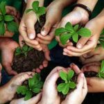 educazione_ambientale_materia_scolastica